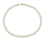 14K Yellow Gold 7.5-8.0mm High Luster White Freshwater Cultured Pearl Necklace, 18 Inch